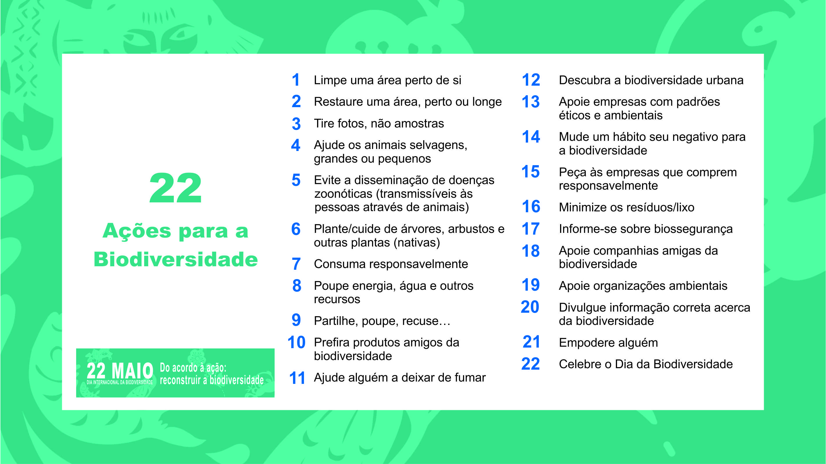 idb 2023 action cards in Portuguese