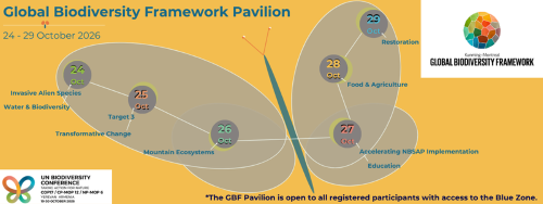 GBF Pavilion 