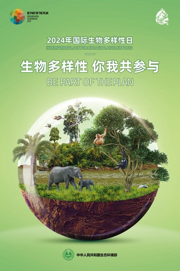 Tropical rainforest ecosystem in China