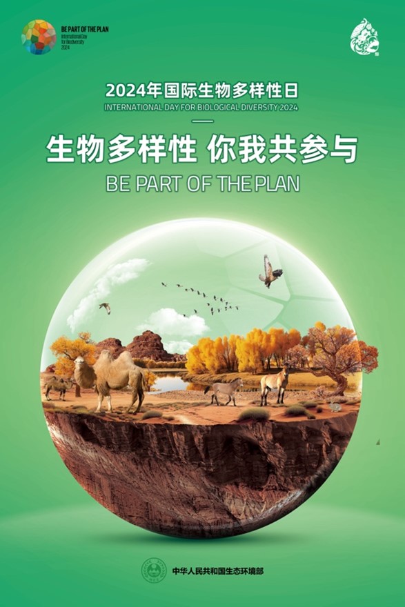 Poplar forest desert ecosystem in China