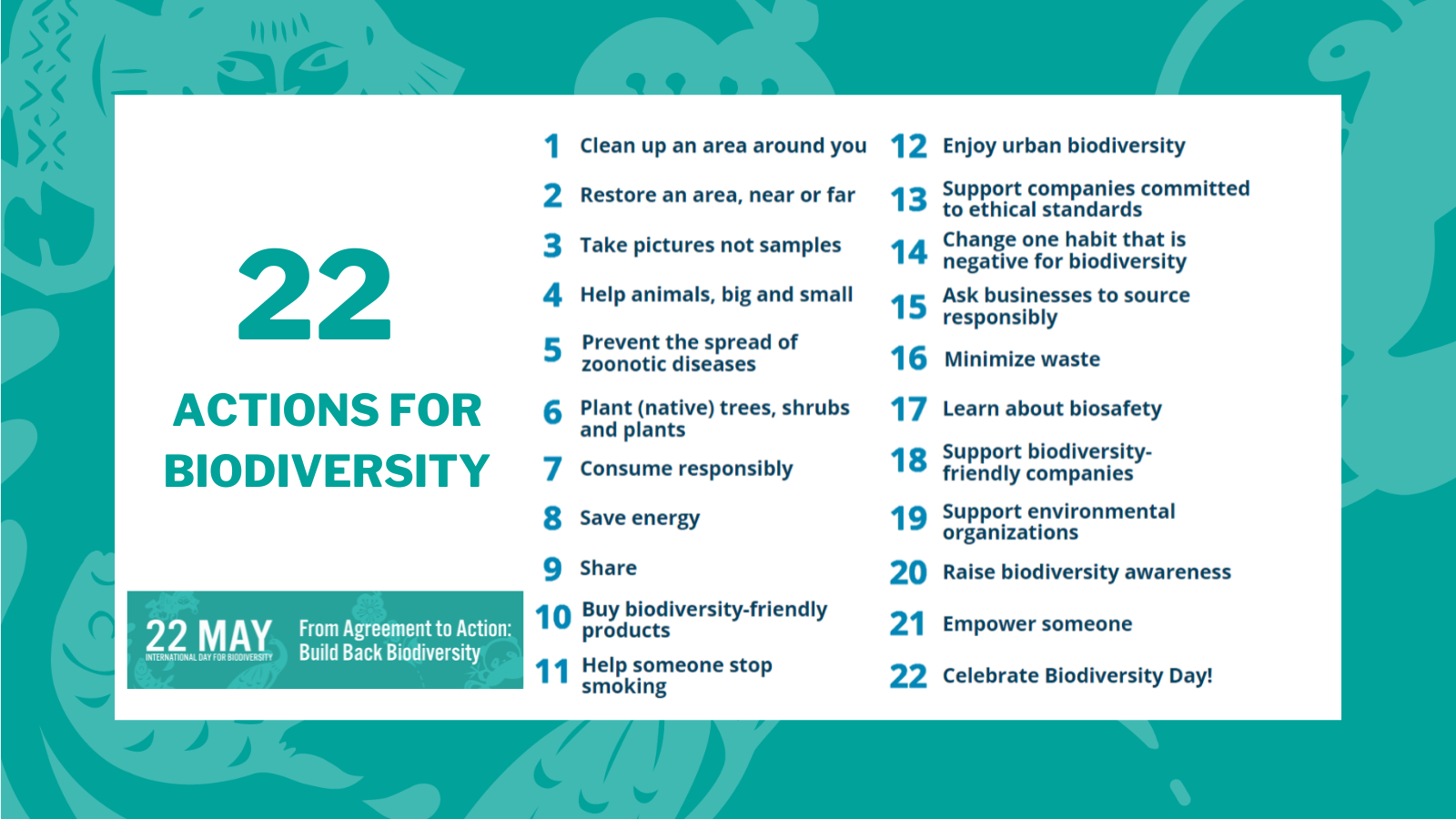 IDB 2023: 22 actions for biodiversity