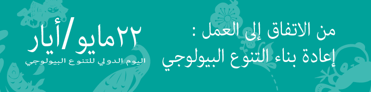 IDB 2023 logo in Arabic