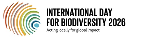 English version of the IDB 2026 logo