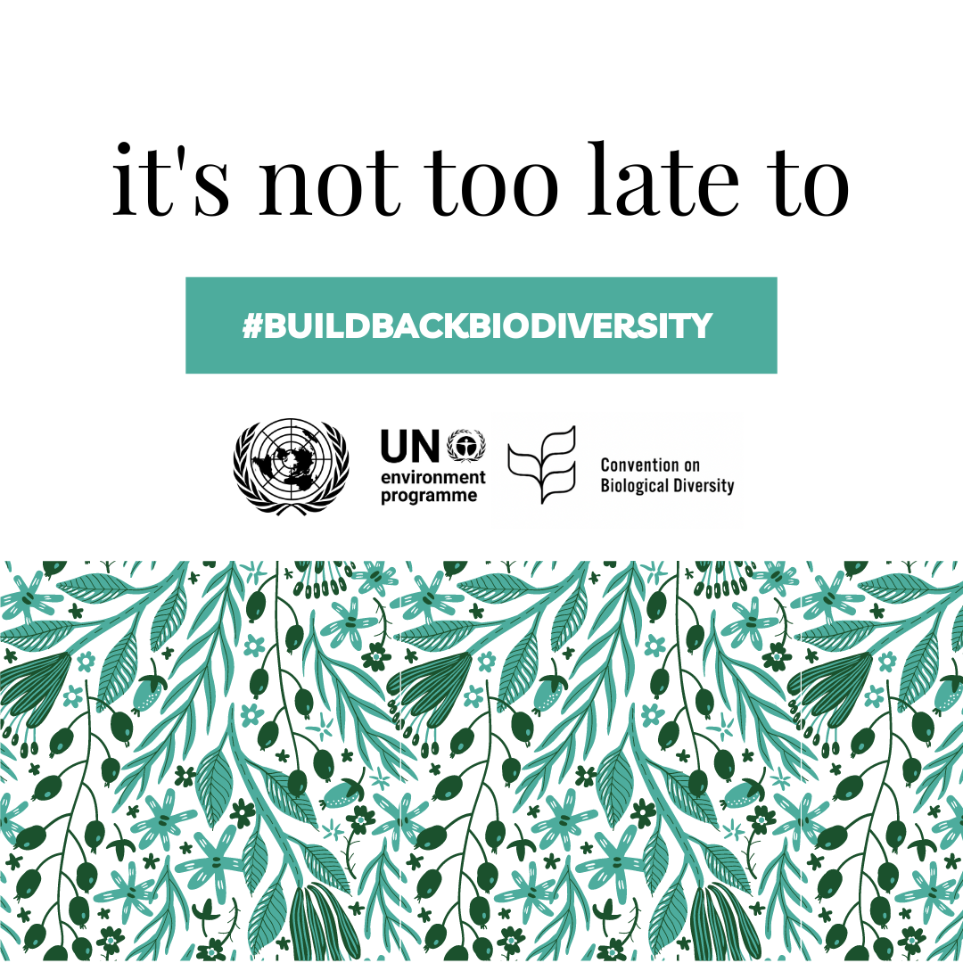 IDB 2023: #BuildBackBiodiversity