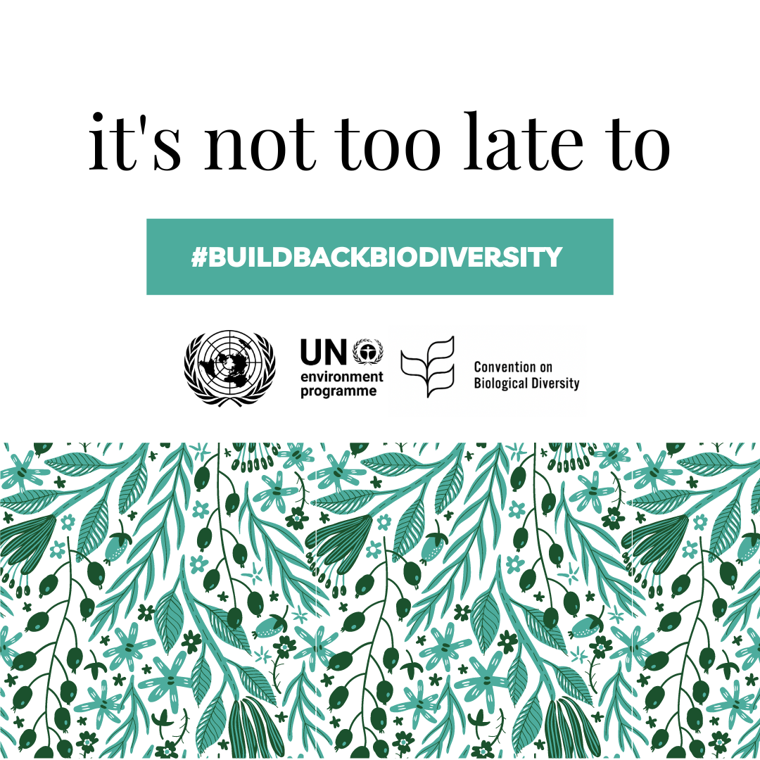 IDB 2023: It is not tool ate to #BuildBackBiodiversity