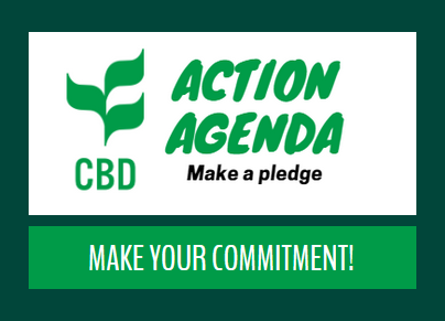logo of the Action Agenda with invite to make a pledge