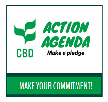 Logo of the Action Agenda to make a pledge