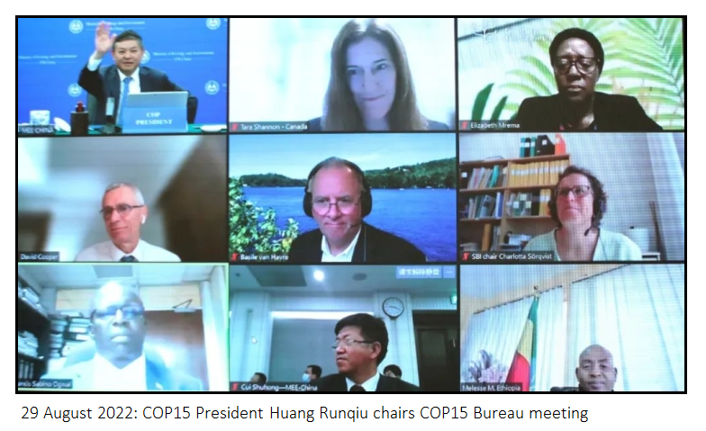COP15 President chairs COP15 Bureau meeting