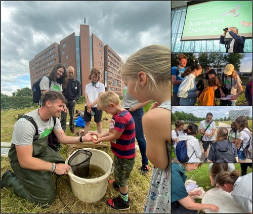 bioblitz in action