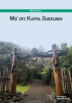 Thumnail cover of the Mo' otz Kuxtal voluntary guidelines CBD publication