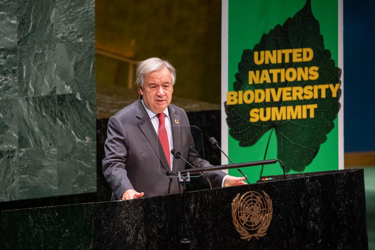Secretary-General António Guterres prepares to address the United Nations Summit on Biodiversity. Source: UN Photo/Rick Bajornas