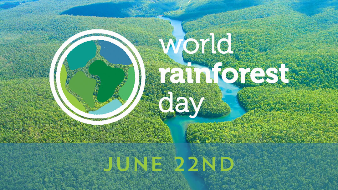 World Rainforest Day 1