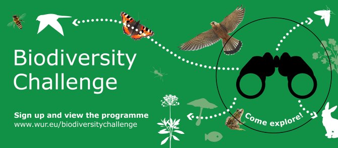 Banner for the ICA Biodiversity Challenge 2023 (ICA BioBlitz 2023)