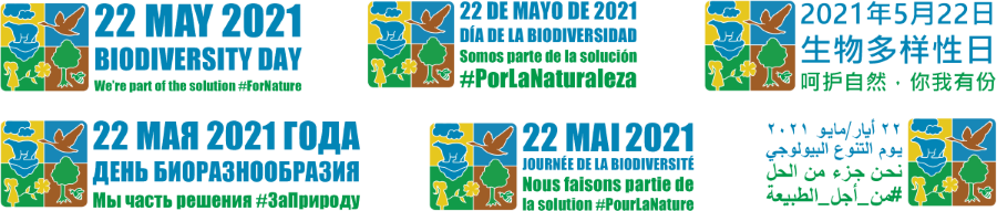 idb-2021-logo-en-web-6un_0.png