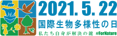 idb-2021-logo-ja
