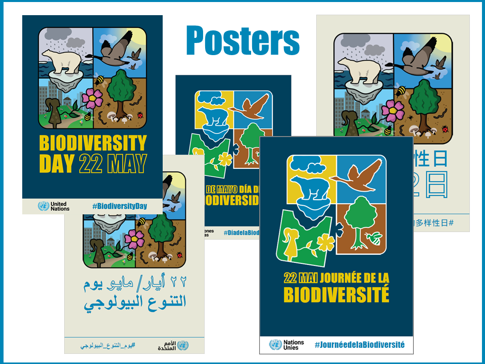 Biodiversity Day posters