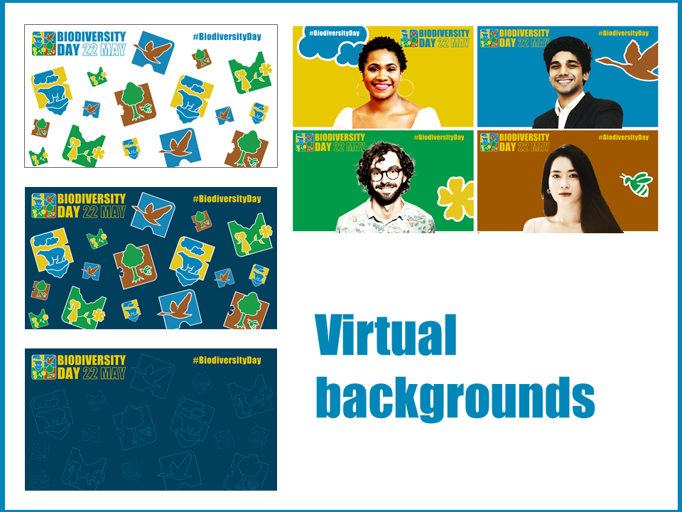 Virtual backgrounds