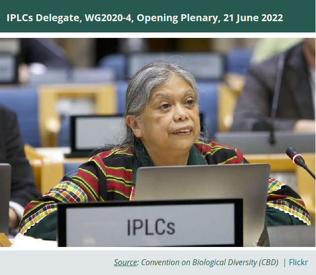 IPLCs delegate during the WG2020-4 in Nairobi, June 2022