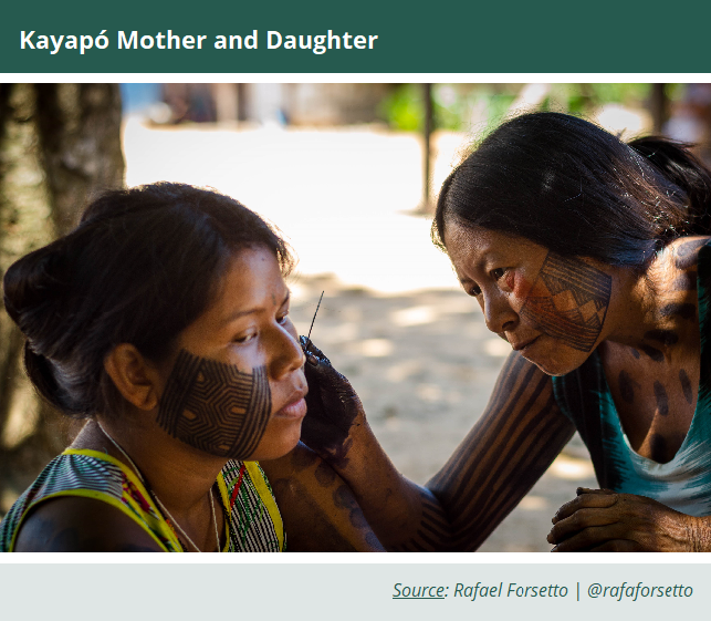 Kayapó mother paints her daughter's face