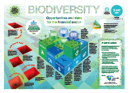 infographic on biodiversity and finance