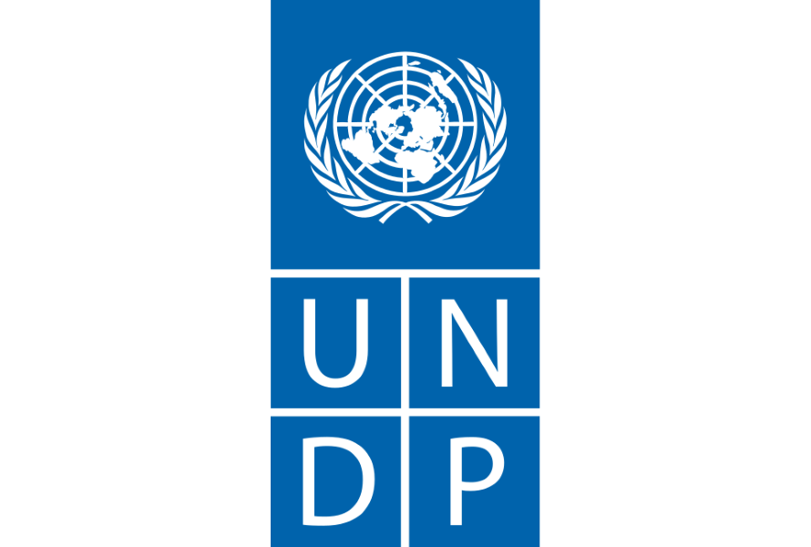 Logo: UNDP