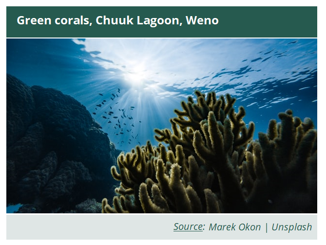  Green corals, Chuuk Lagoon, Weno - Marek Okon | Unsplash