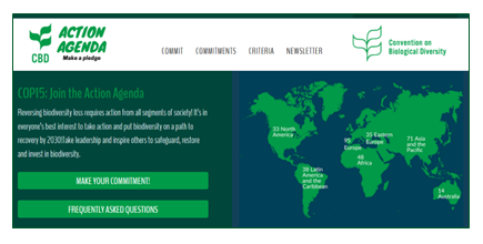 screenshot of the CBD's Action Agenda website