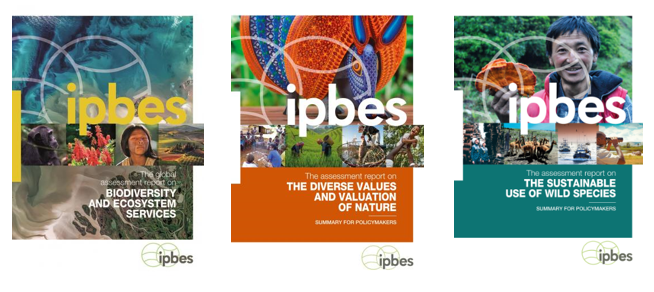 Assessment reports from IPBES