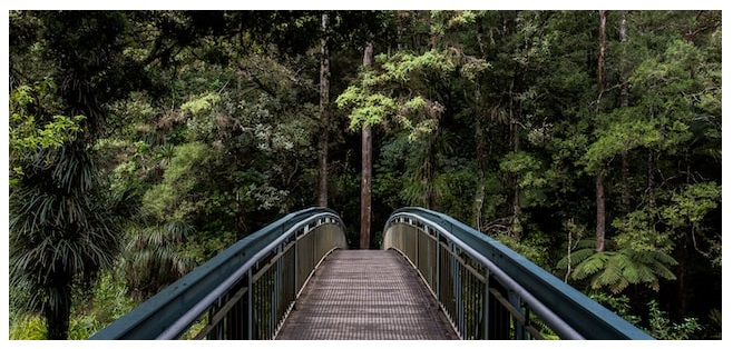 Whangarei Falls, Whangarei, New Zealand, by Tim Swaan | Unsplash