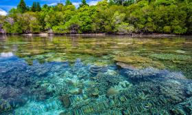 Coast Coral Reefs Transparency