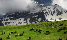 Armenia landscape