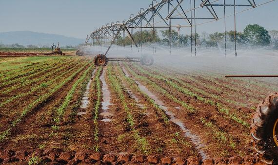Sprinkler System Farm