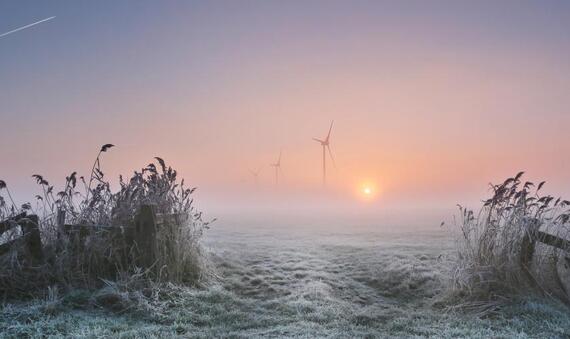 Frost Pingjum Friesland The Netherlands