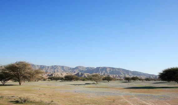 Ras Al-Khaimah, UAE landscape