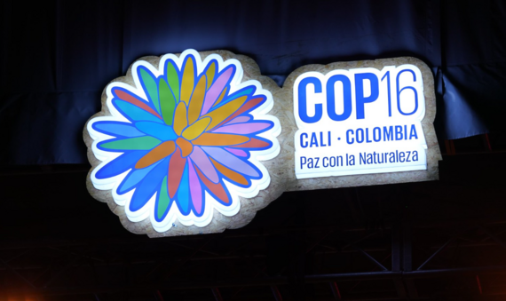 COP 16 Venue 3