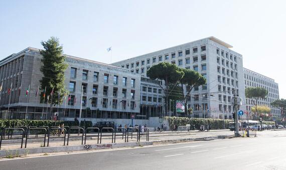 FAO Headquarters 2