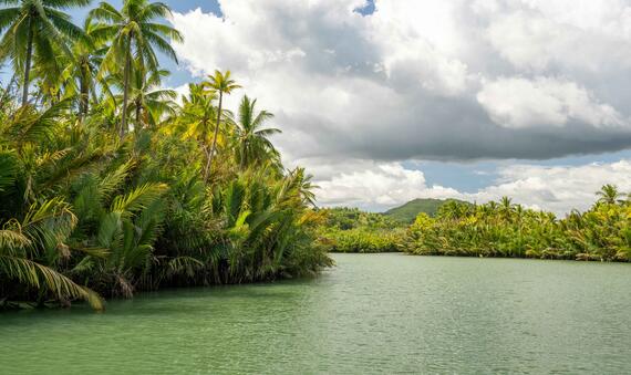 Tropical landscape