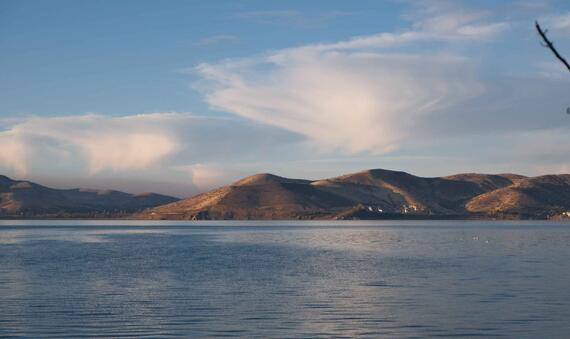 Landscape WED